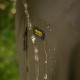 Avid Revolve Waterproof Suit