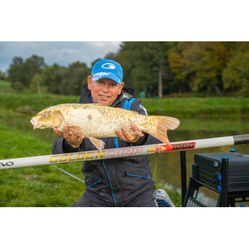 Garbolino Goldencarp 31 11,5m