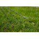 Preston Monster Xtreme Distance Feeder