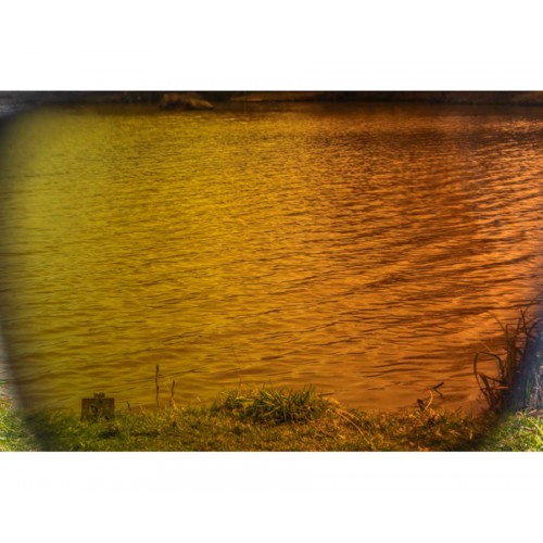 Preston Polarised Sunglasses Absolute Wrap