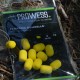 Prowess EVA Dumbells