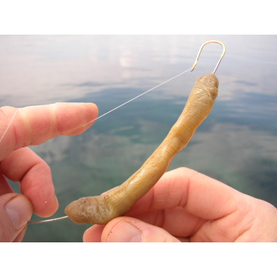 Sunset Baiting Needle