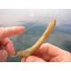 Sunset Baiting Needle