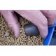 Preston Elasticated Pellet Feeder