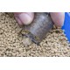 Preston Elasticated Pellet Feeder