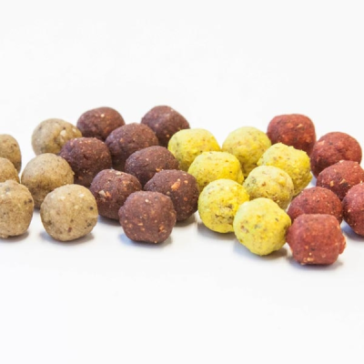 SBS Premium Mini Dumbells 50g