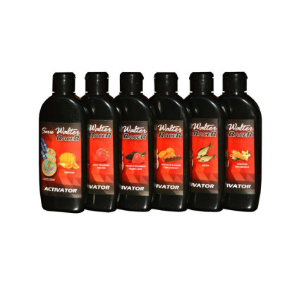 Serie Walter RACER Activator 250ml