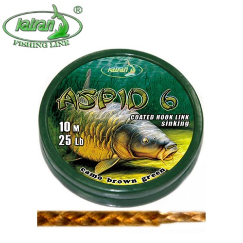 Katran Aspid 6 10m