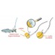 Stonfo Bait Elastic Rings